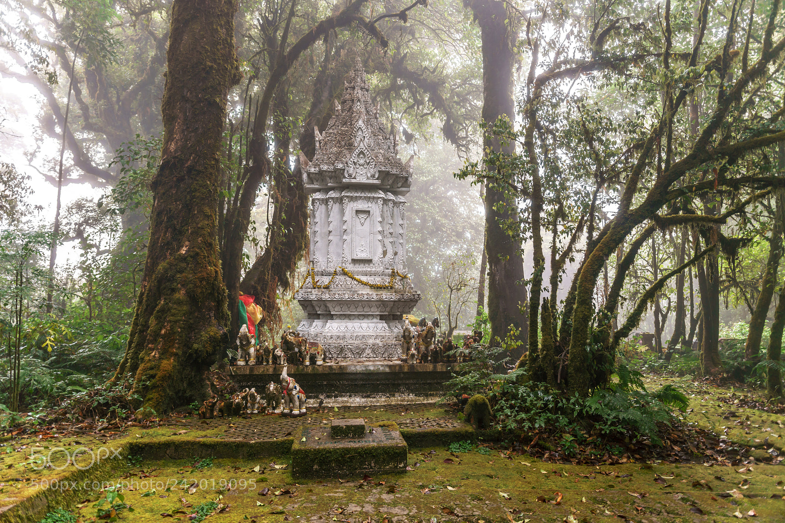 Sony a6500 sample photo. The king inthanon memorial photography
