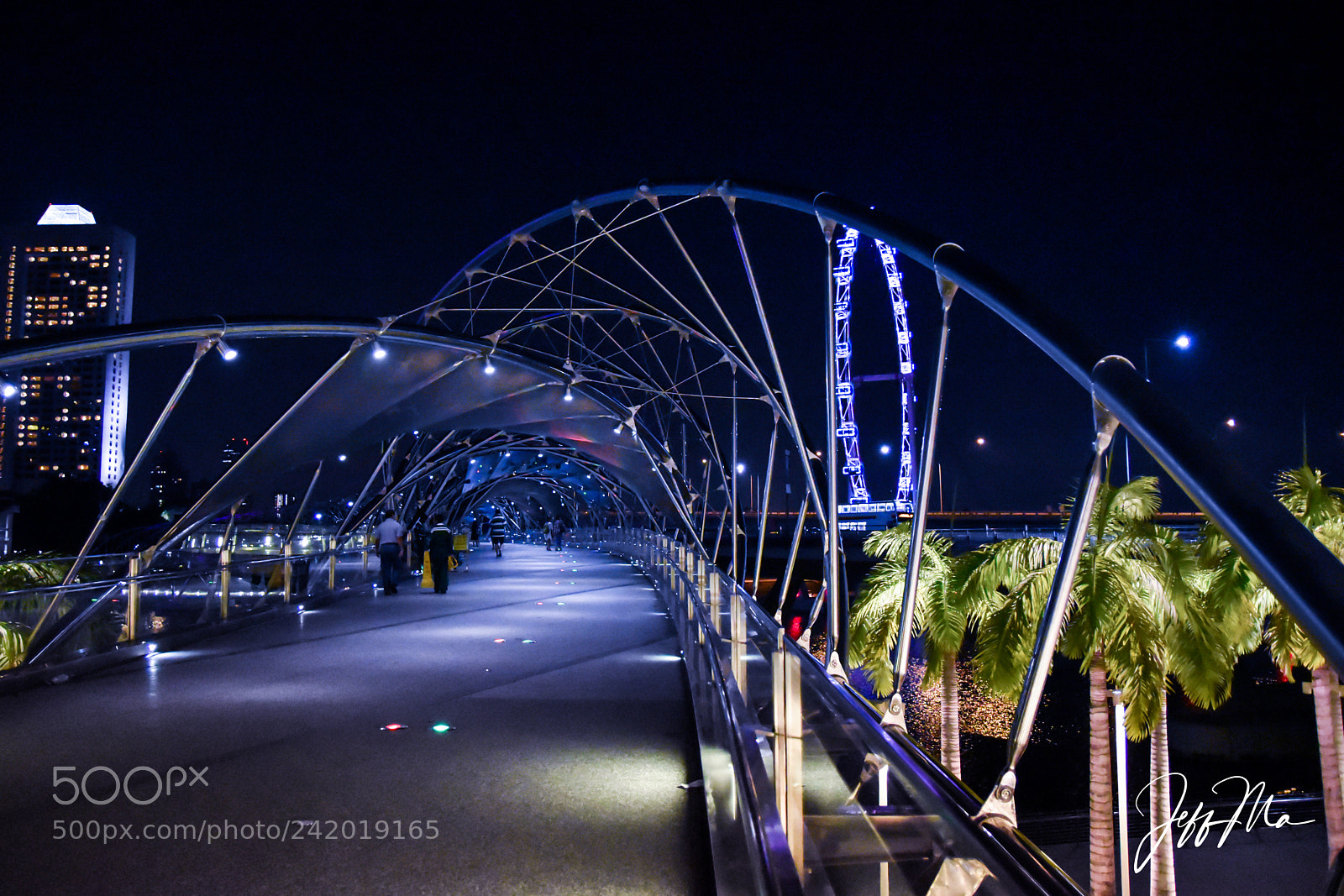 Nikon D5500 sample photo. Bridge of joy photography