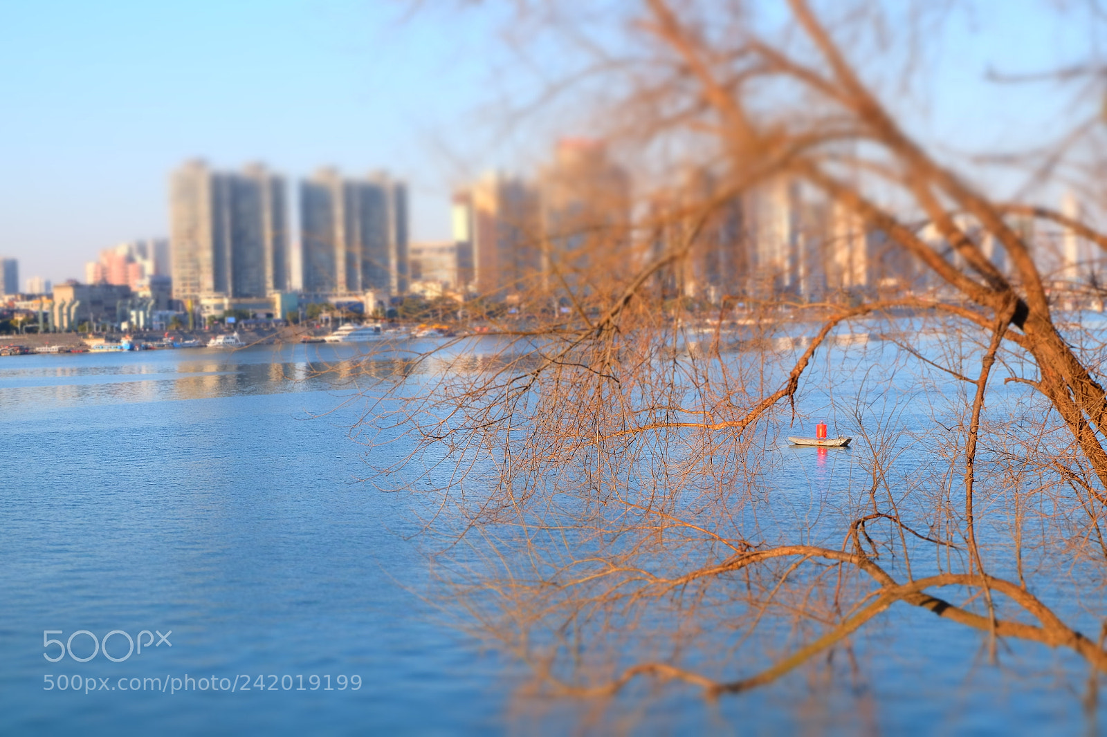 Fujifilm X-T10 sample photo. Dscf photography