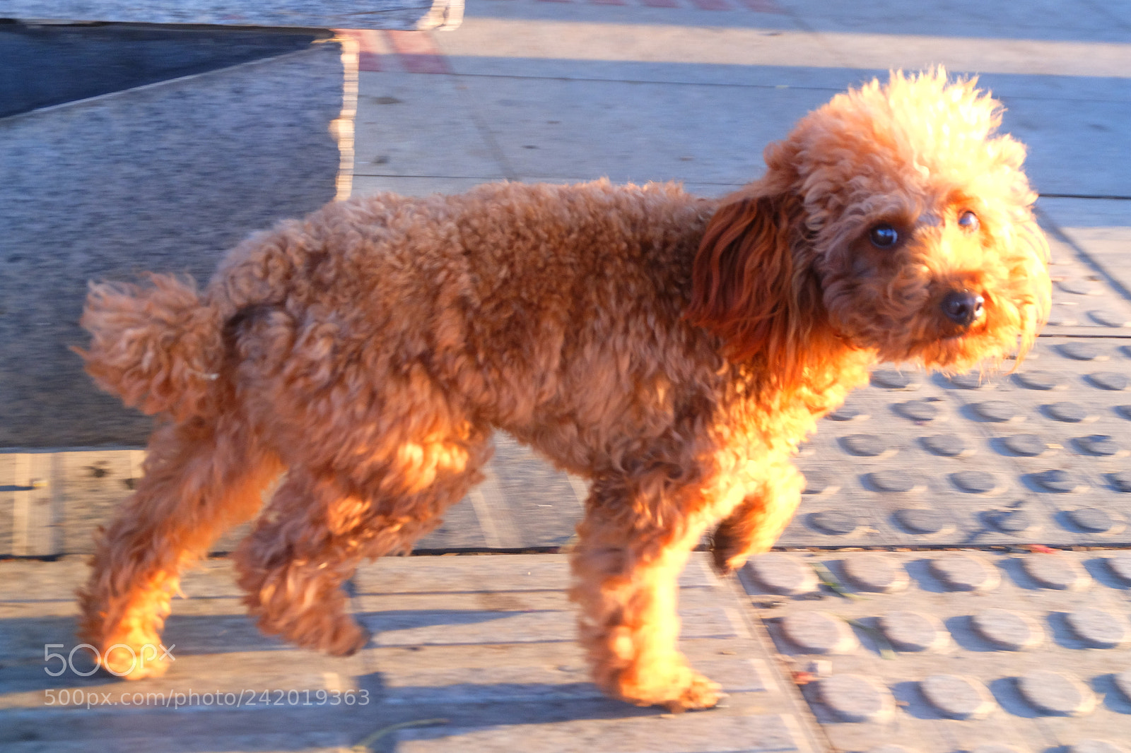 Fujifilm X-T10 sample photo. Dscf photography