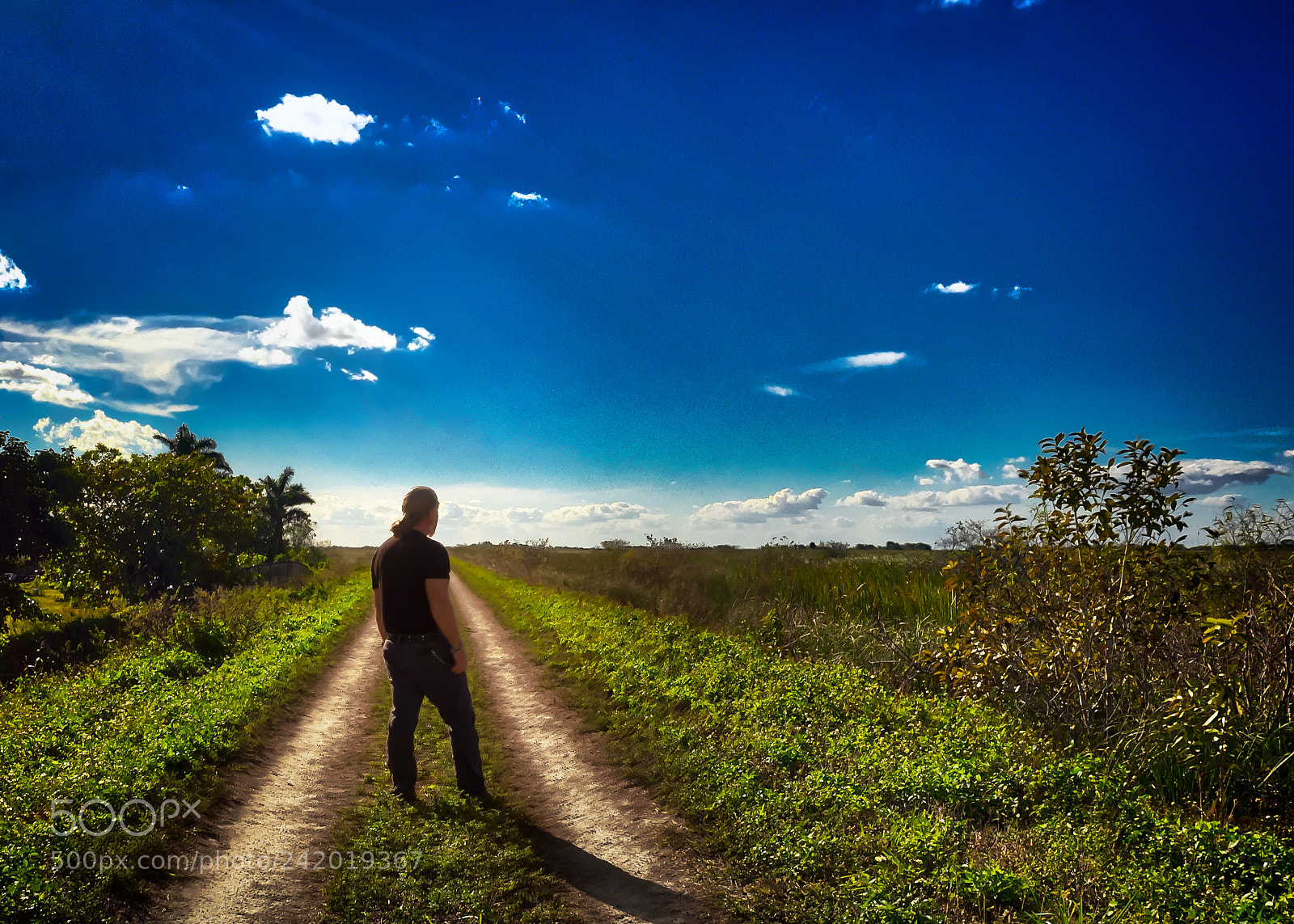 Olympus OM-D E-M1 sample photo. On the horizon photography