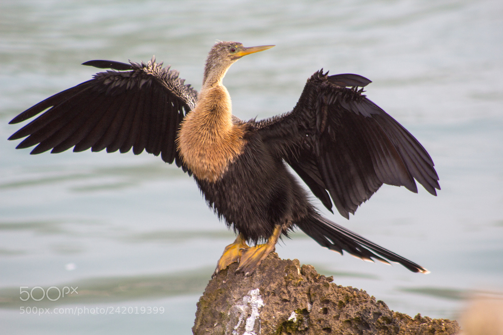 Canon EOS 1200D (EOS Rebel T5 / EOS Kiss X70 / EOS Hi) sample photo. Mg photography