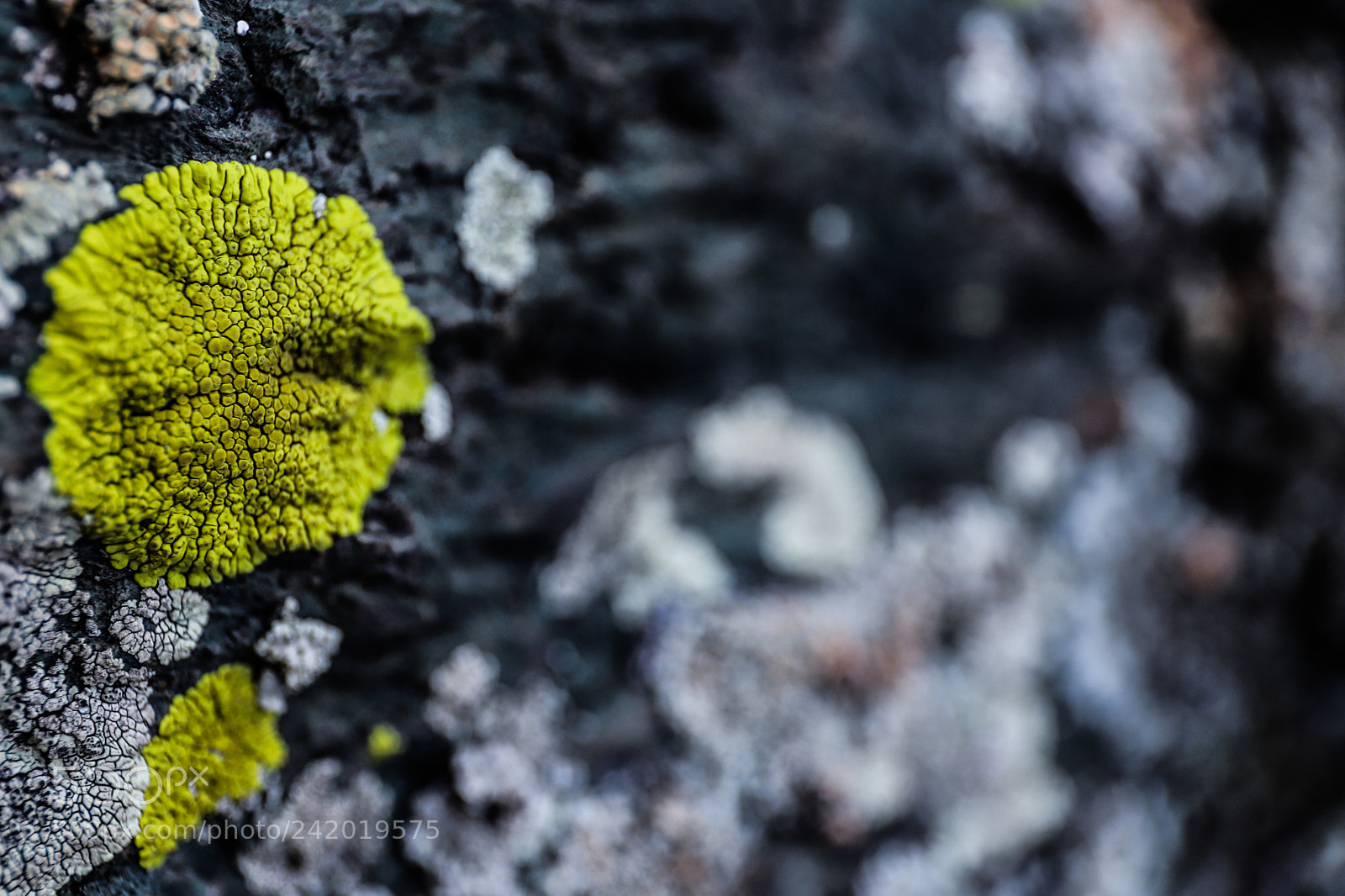 Canon EOS 6D Mark II sample photo. Old stone photography