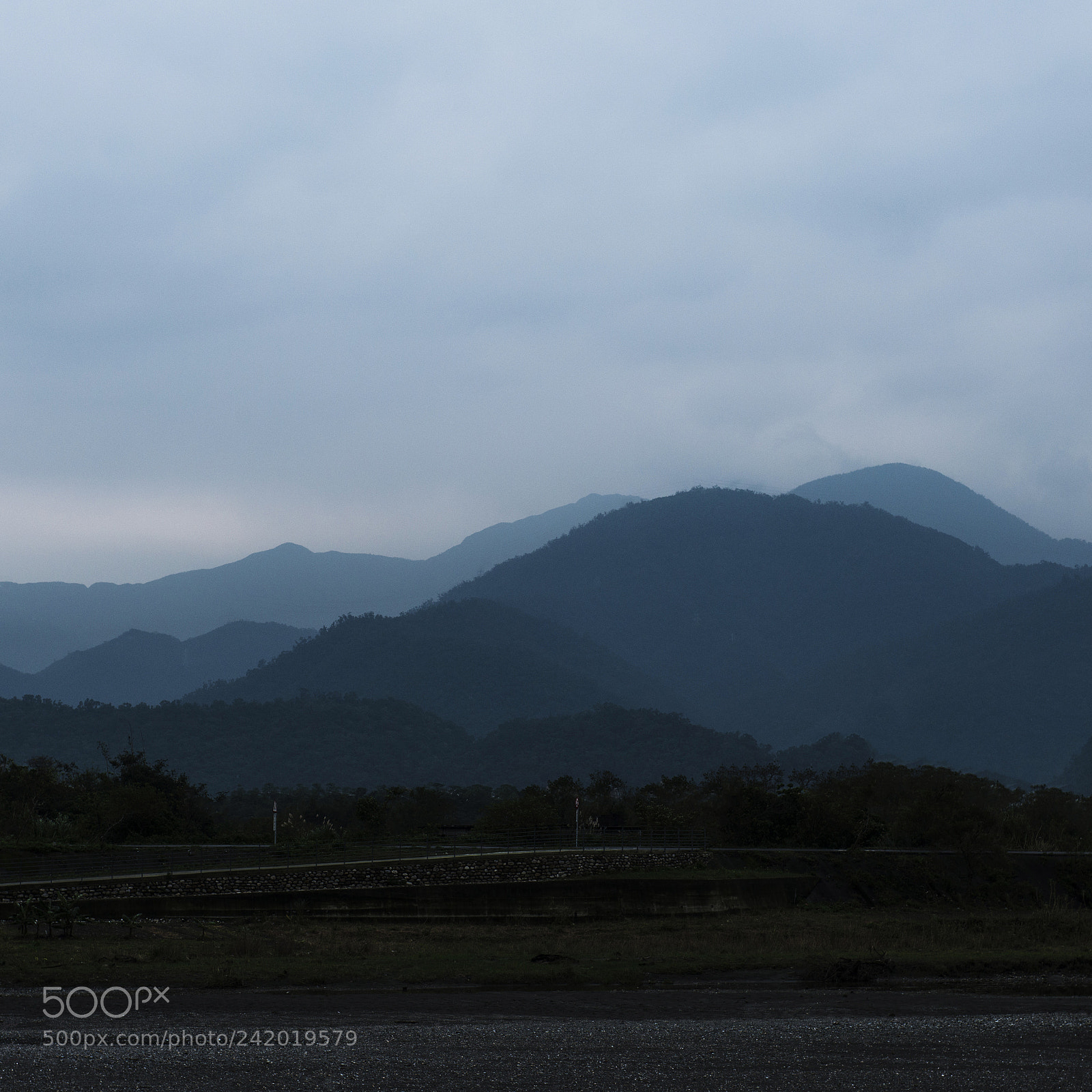 Nikon D800E sample photo. Apo photography