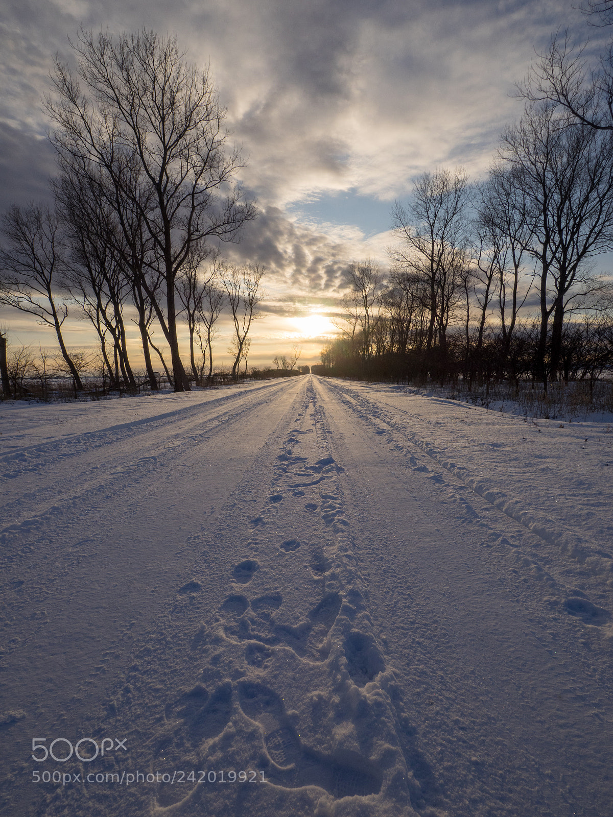 Olympus OM-D E-M1 sample photo. Winter road photography