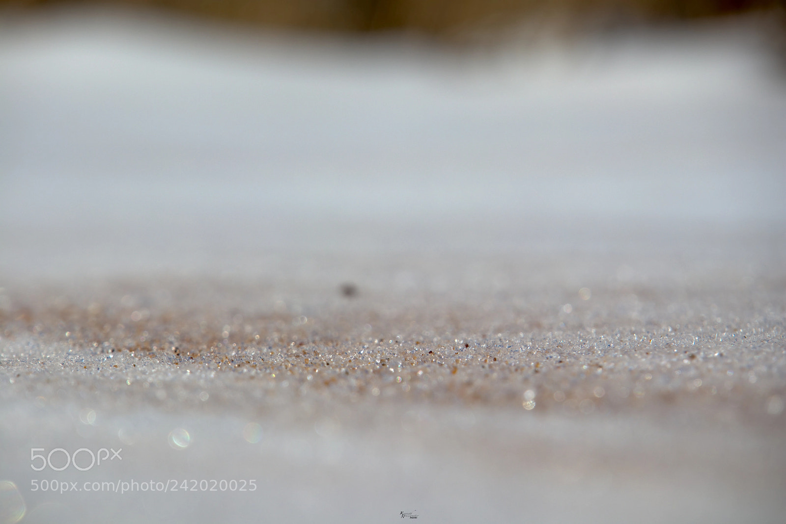 Canon EOS M5 sample photo. Sand on the ice photography