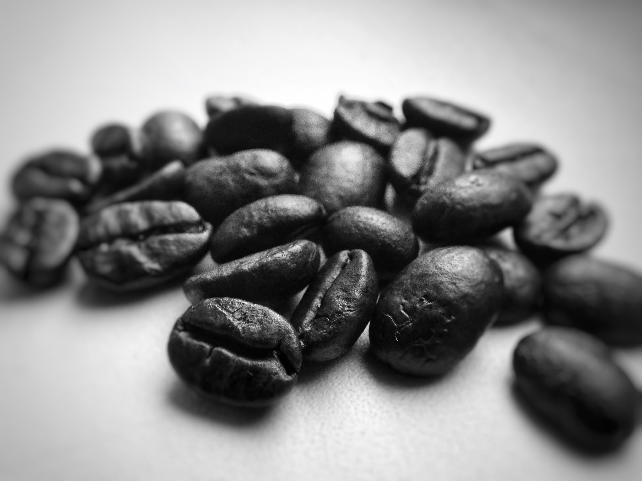Panasonic DC-FZ81 sample photo. Cofee lover photography