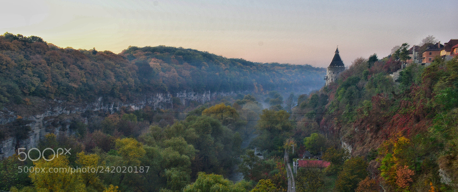 Nikon D3200 sample photo. Untitled photography