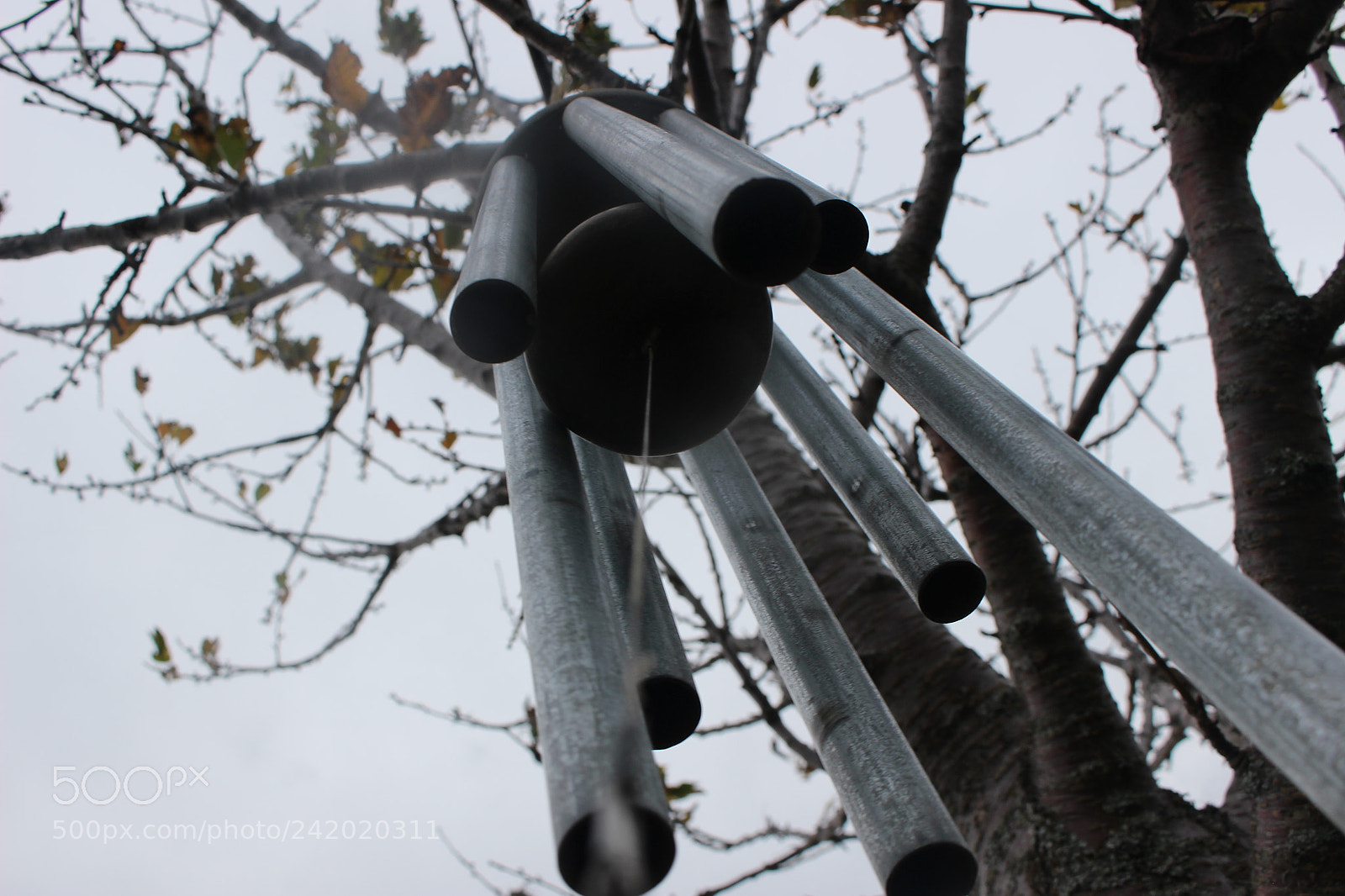 Canon EOS 100D (EOS Rebel SL1 / EOS Kiss X7) sample photo. Chimes photography