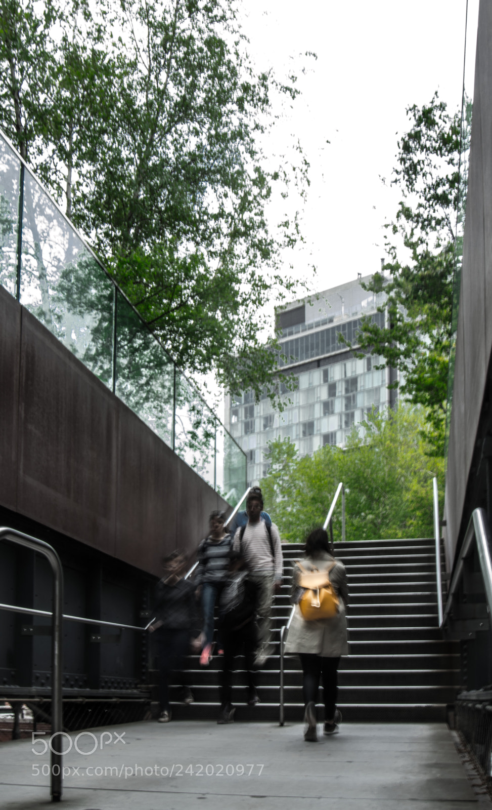 Nikon D3200 sample photo. Into the high line photography