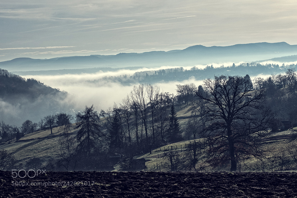 Olympus OM-D E-M5 II sample photo. Fog in the valley photography