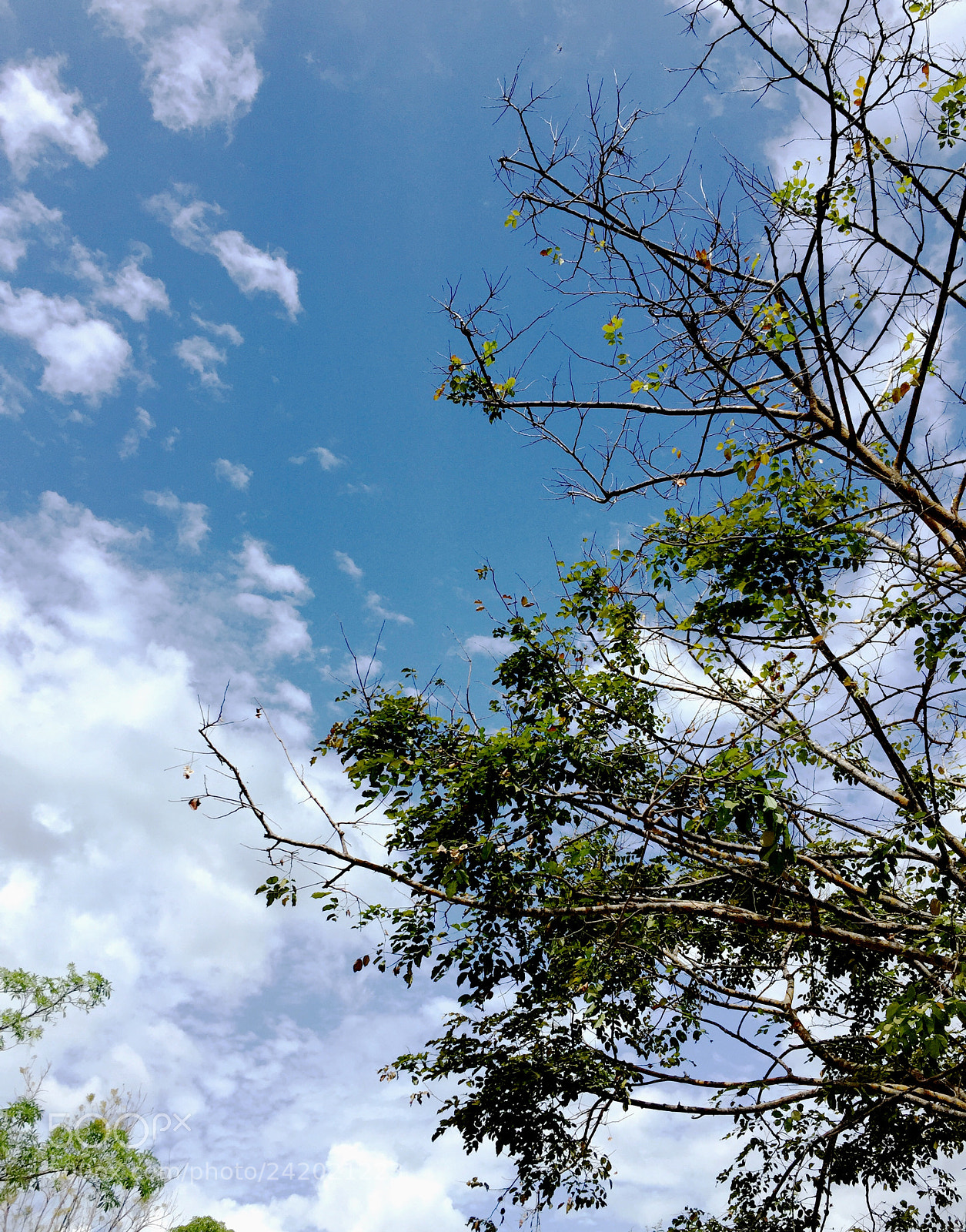 Apple iPhone 6 sample photo. Sky photography