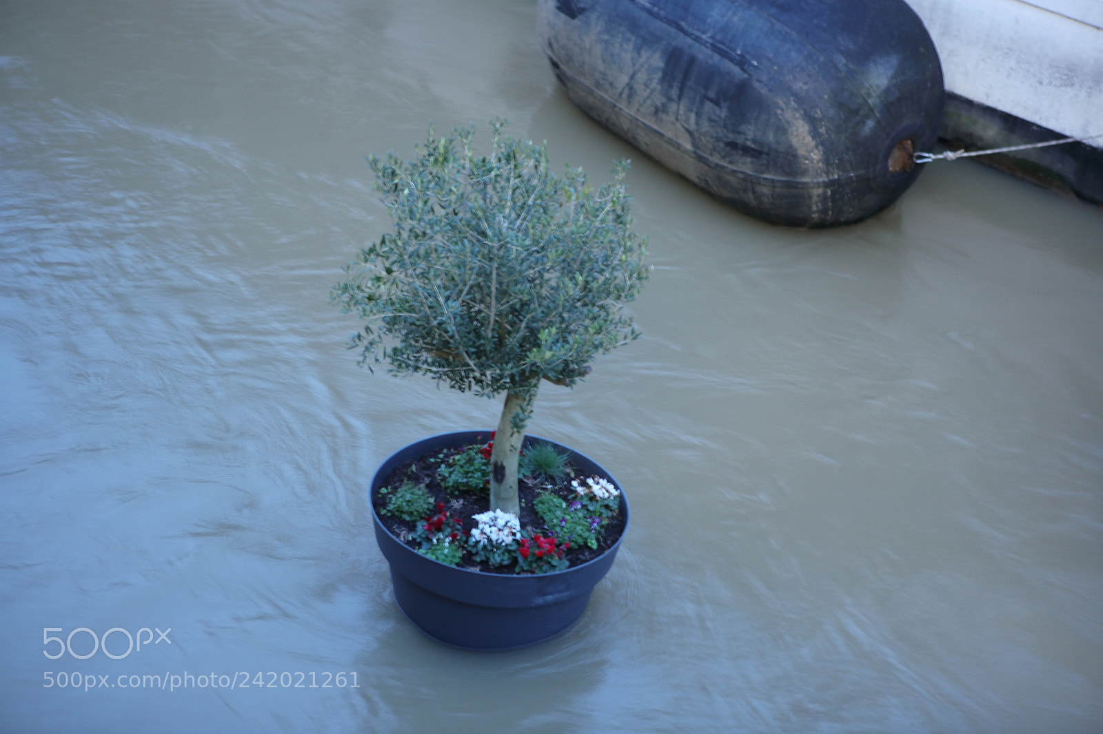 Canon EOS 5D sample photo. Untitled photography
