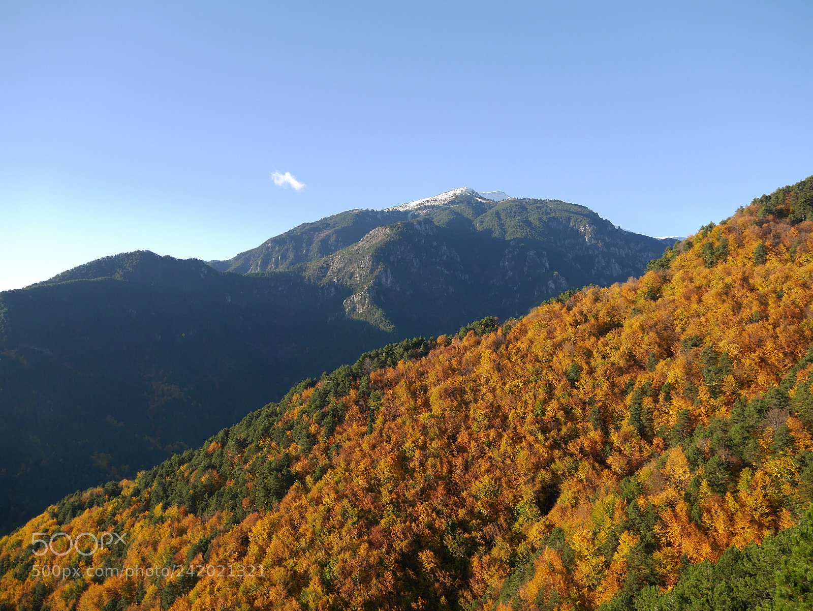Panasonic Lumix DMC-GM1 sample photo. Olymp forest photography