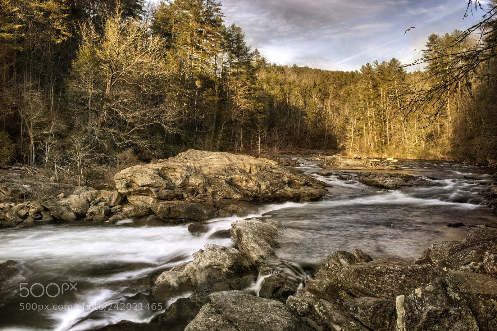 Nikon D7100 sample photo. Deliverance photography