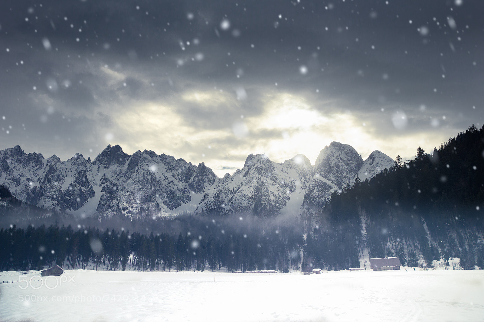 Canon EOS-1D X sample photo. Winter photography