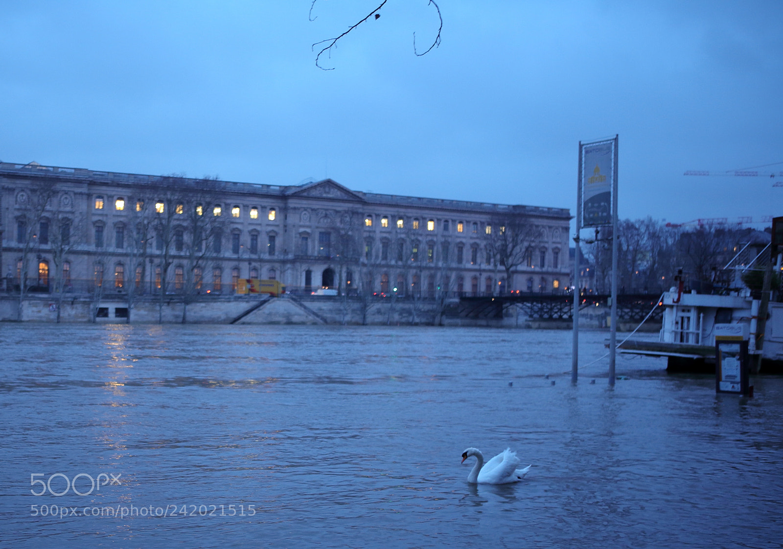 Canon EOS 5D sample photo. Cygne photography