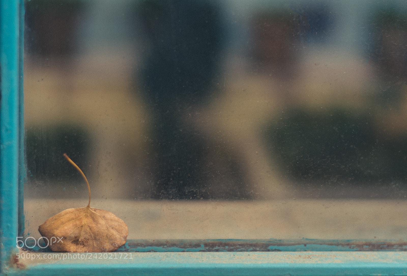 Nikon D7100 sample photo. Windows photography