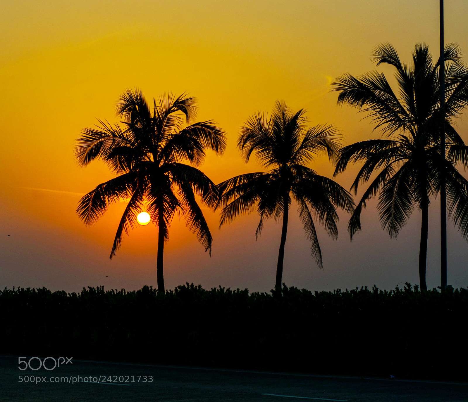 Nikon D7200 sample photo. Silhouette as the sun photography