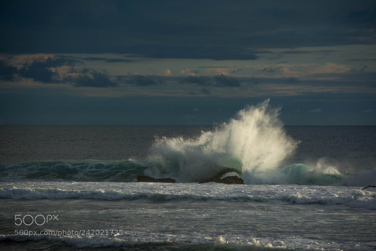 Nikon D7100 sample photo. Splish splash photography