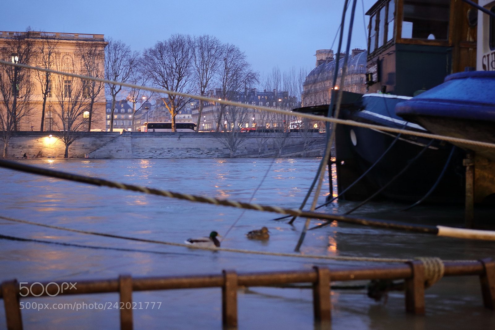 Canon EOS 5D sample photo. Nuit seine photography