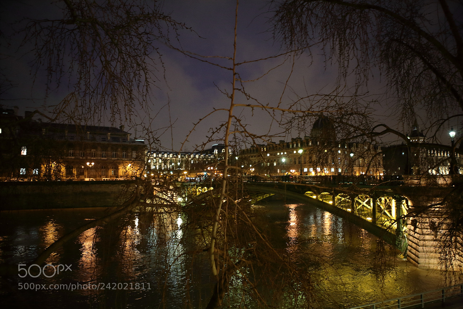 Canon EOS 5D sample photo. Nuit branche photography