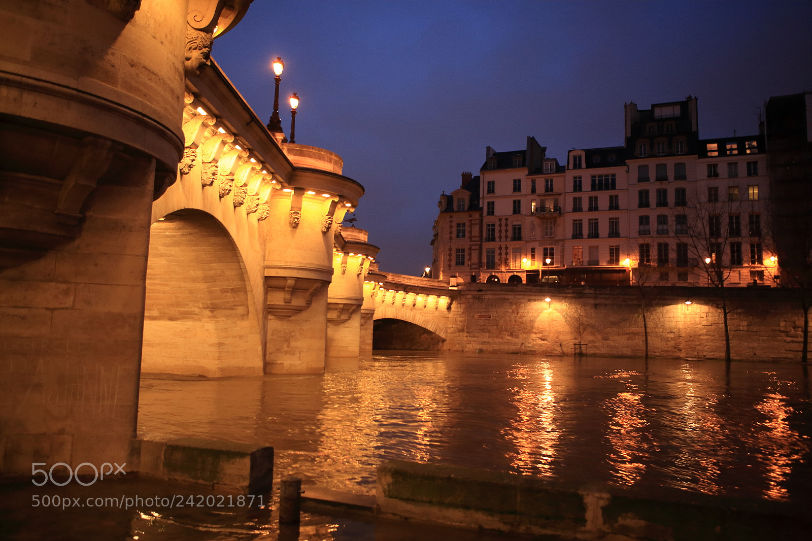 Canon EOS 5D sample photo. Nuit pont neuf photography