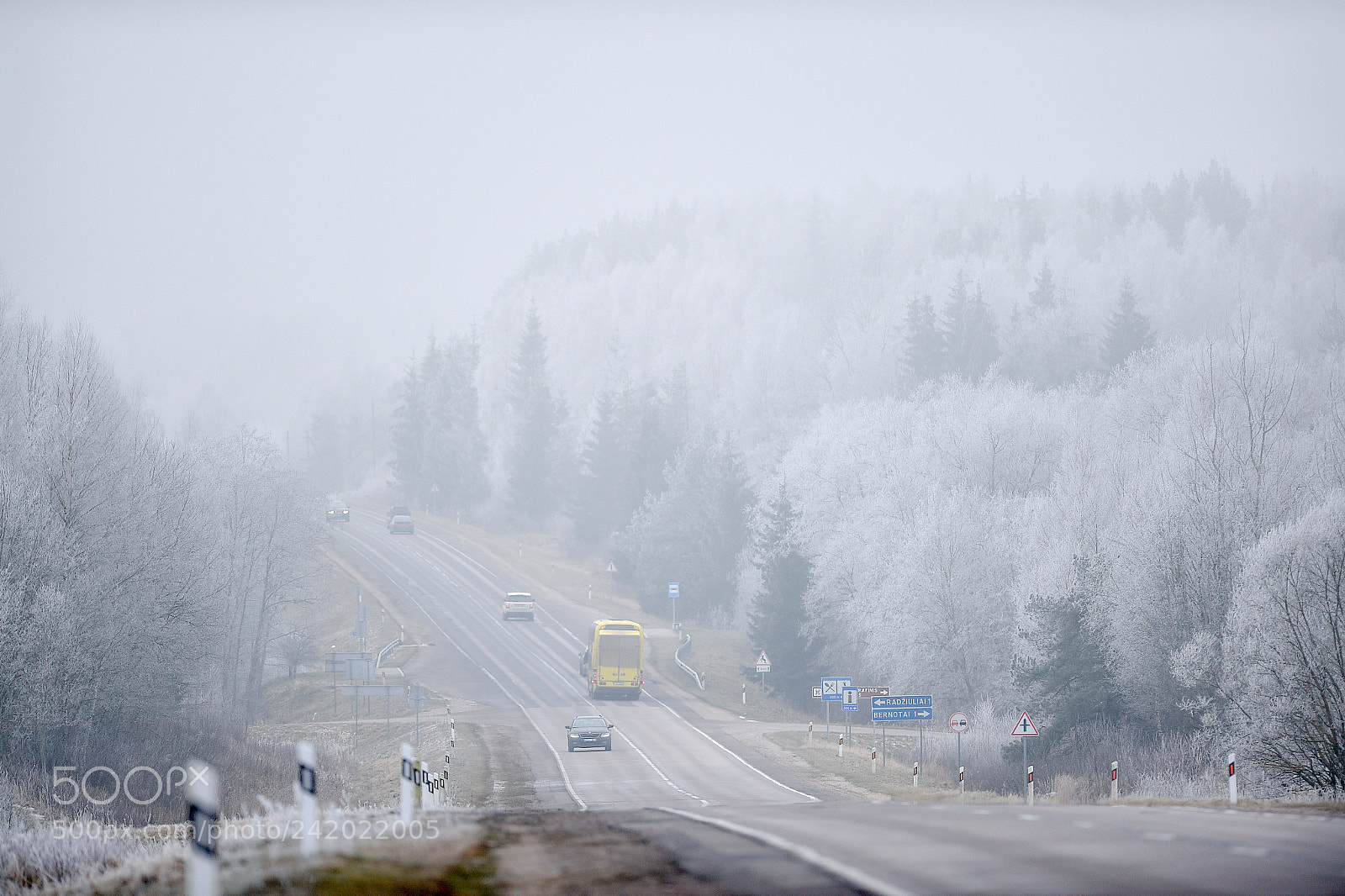 Nikon D4S sample photo. Winter in lithuania is photography