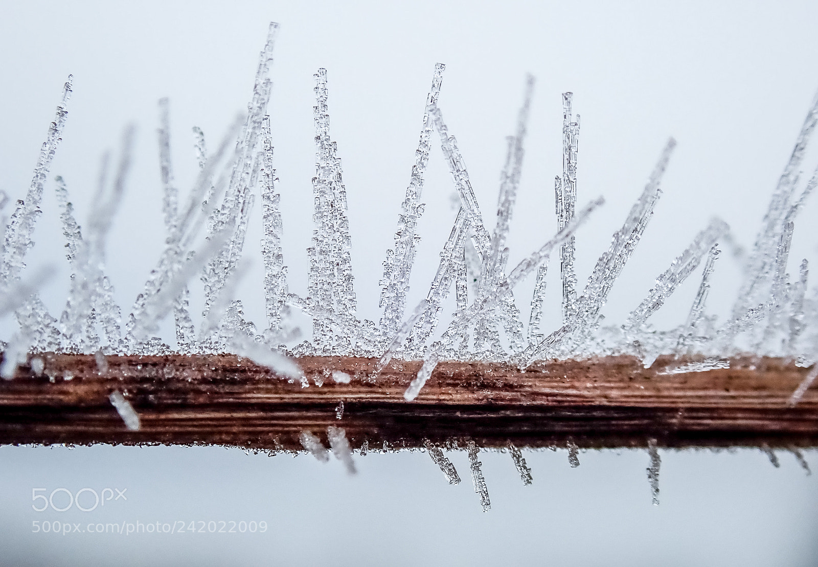 Olympus TG-5 sample photo. Winter in lithuania is photography