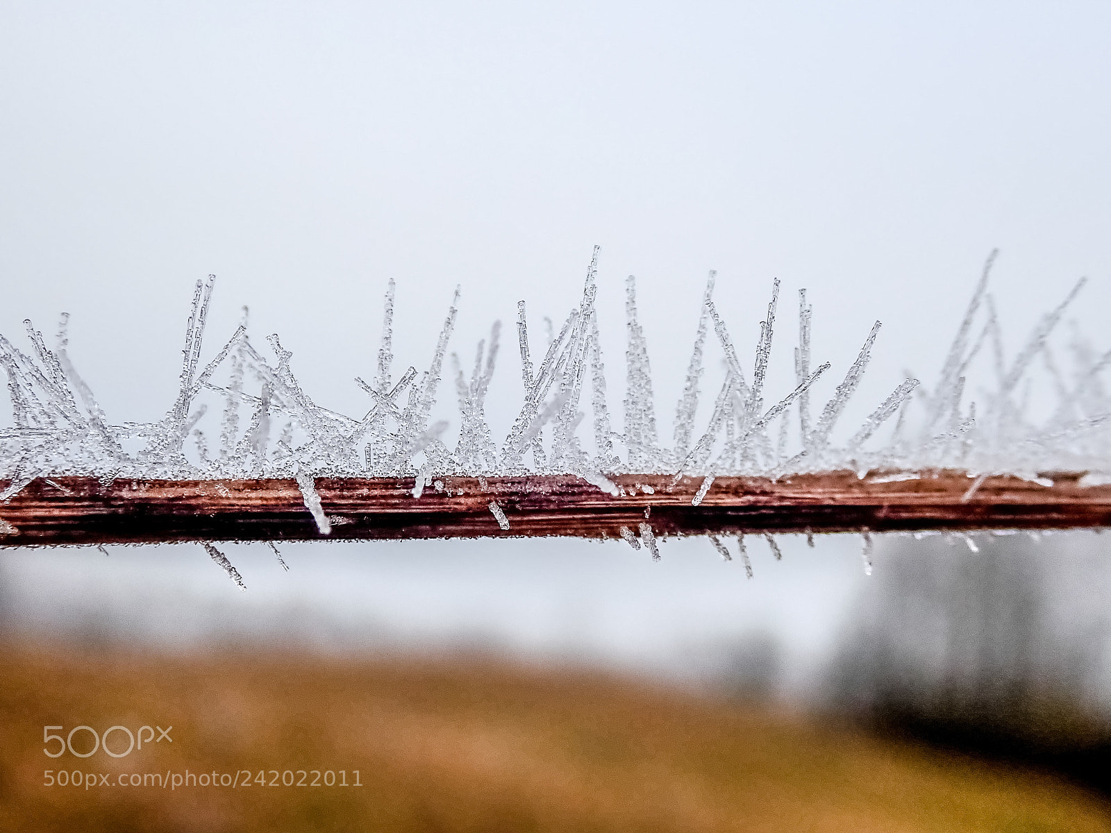 Olympus TG-5 sample photo. Winter in lithuania is photography