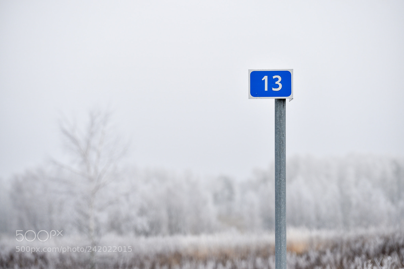 Nikon D4S sample photo. Winter in lithuania is photography