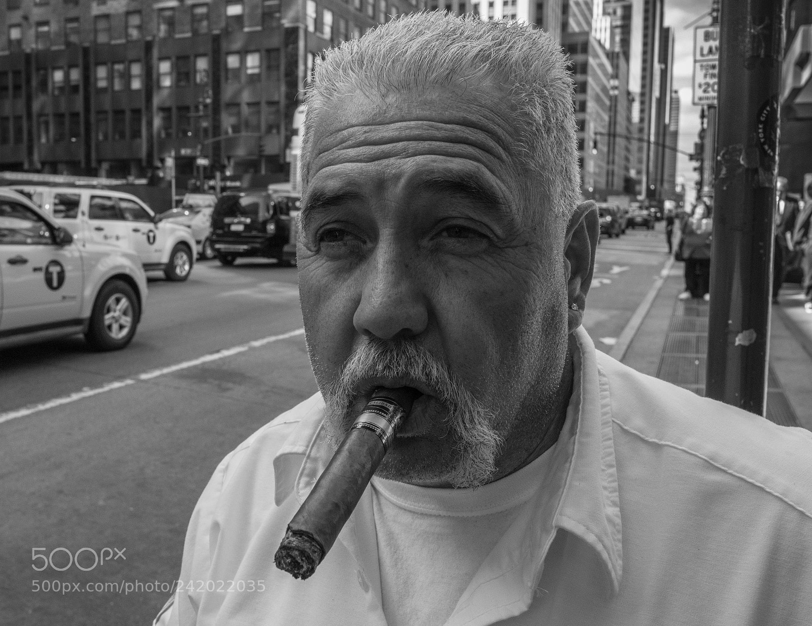 Nikon D7200 sample photo. Smoking the big cigar photography