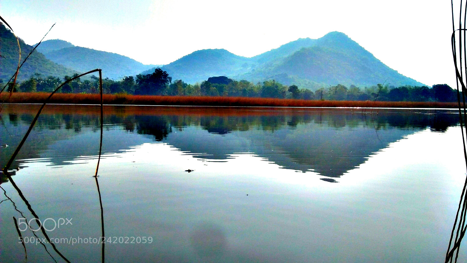 OPPO A37fw-International sample photo. Untitled photography