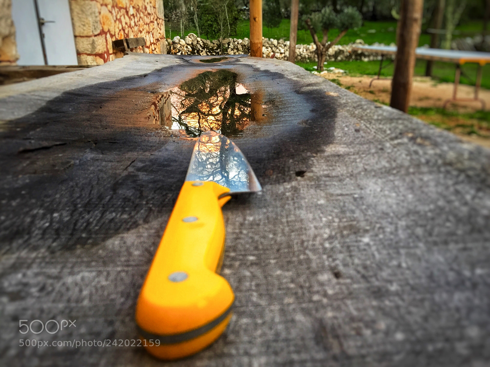 Apple iPhone 6 sample photo. ? photography