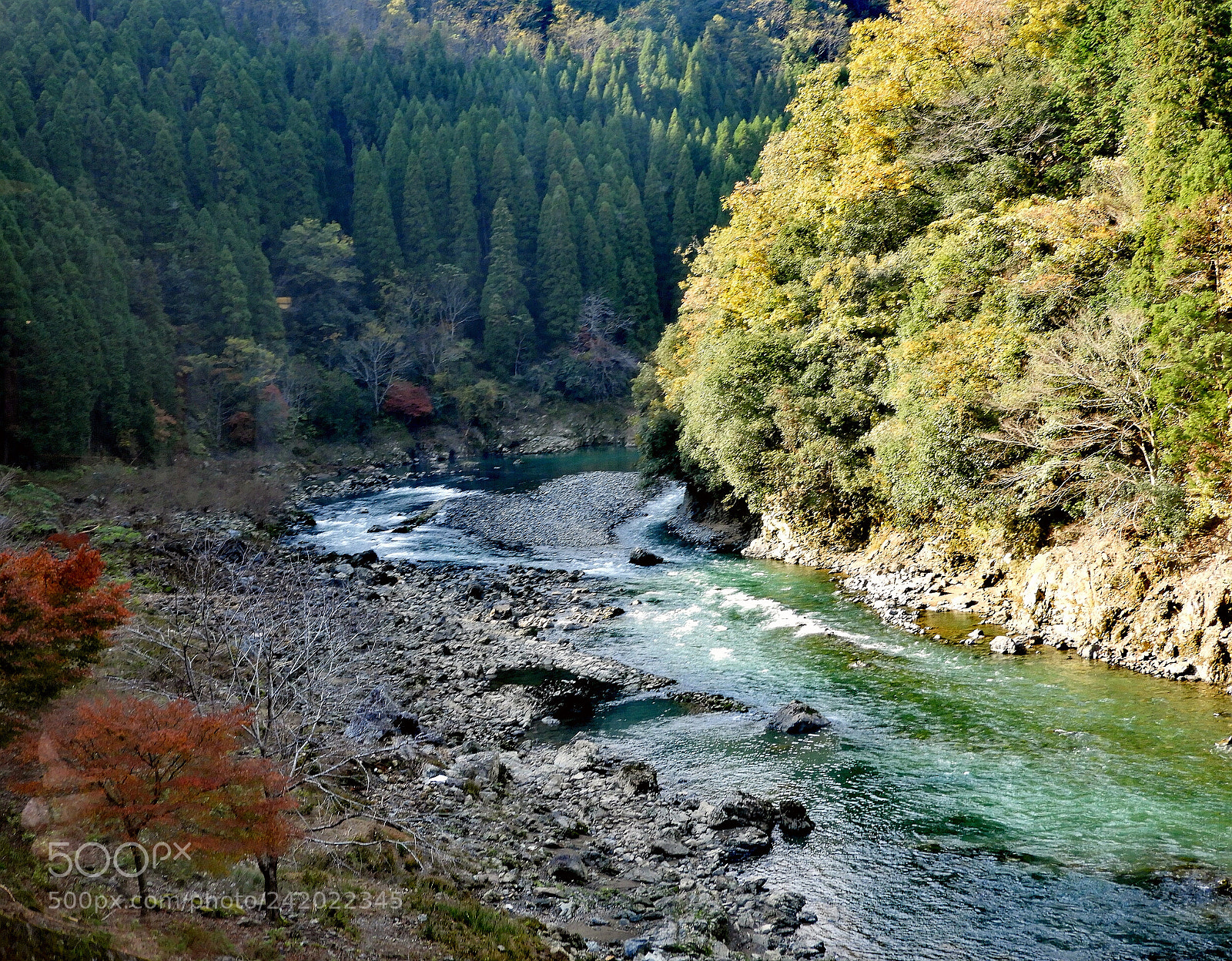 Nikon Coolpix B700 sample photo. Beauty nature in kyoto photography