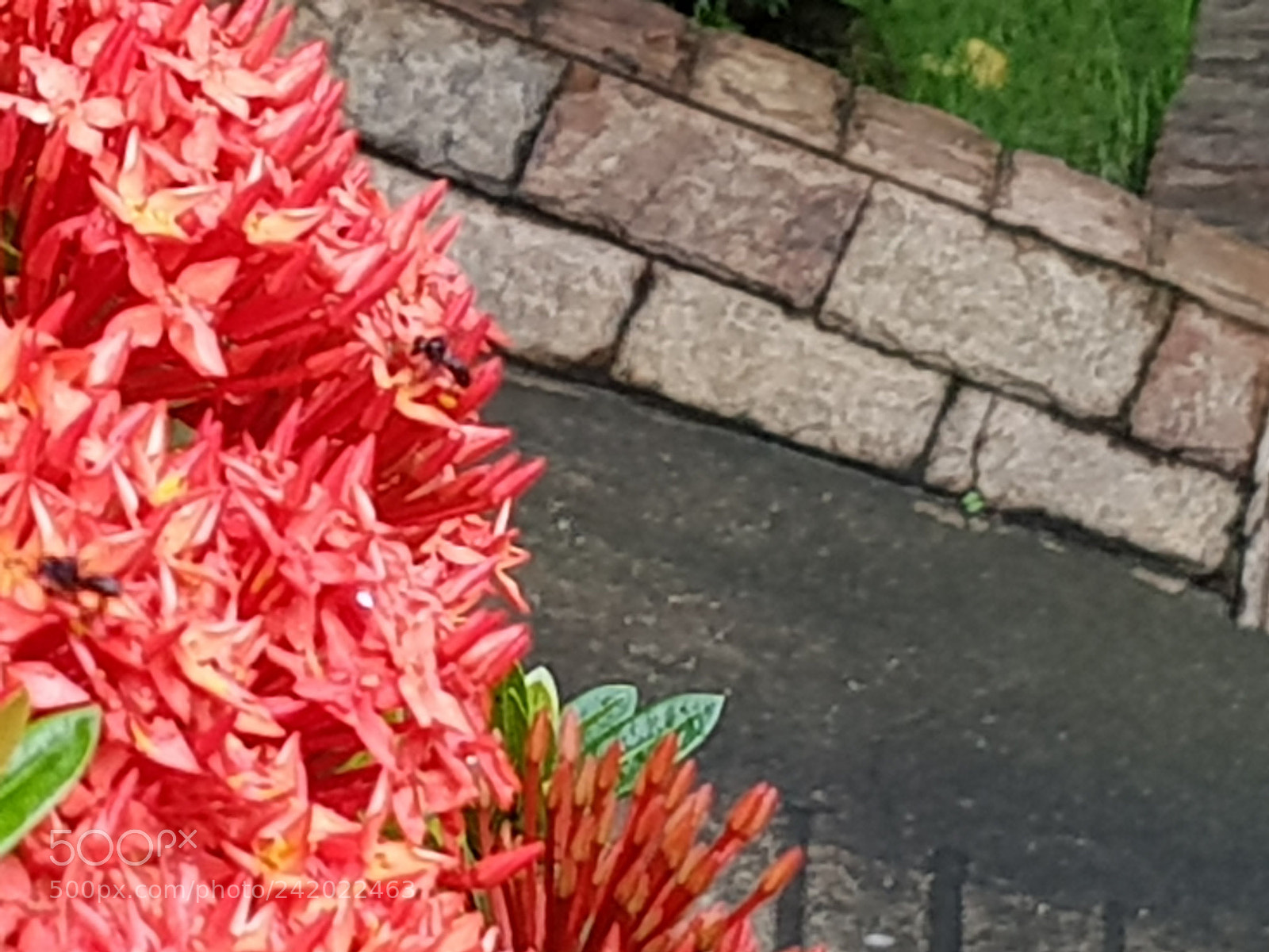 Samsung Galaxy S8 sample photo. 20180107_094526.jpg photography