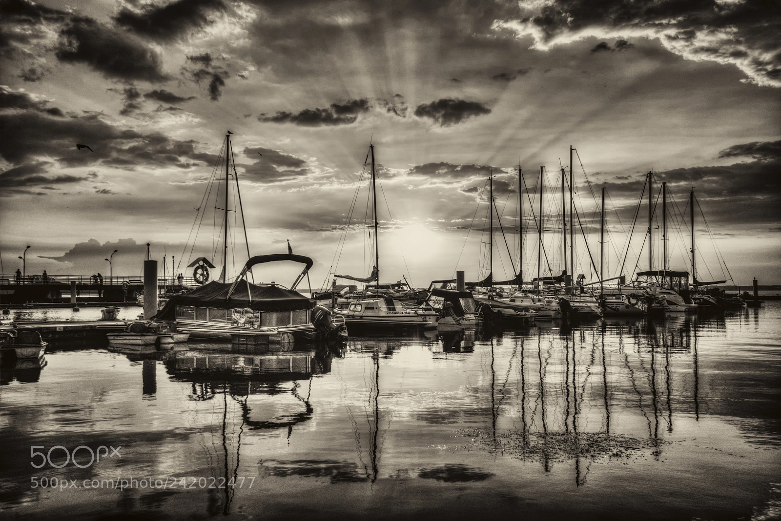 Nikon D800 sample photo. Marine - sunset photography