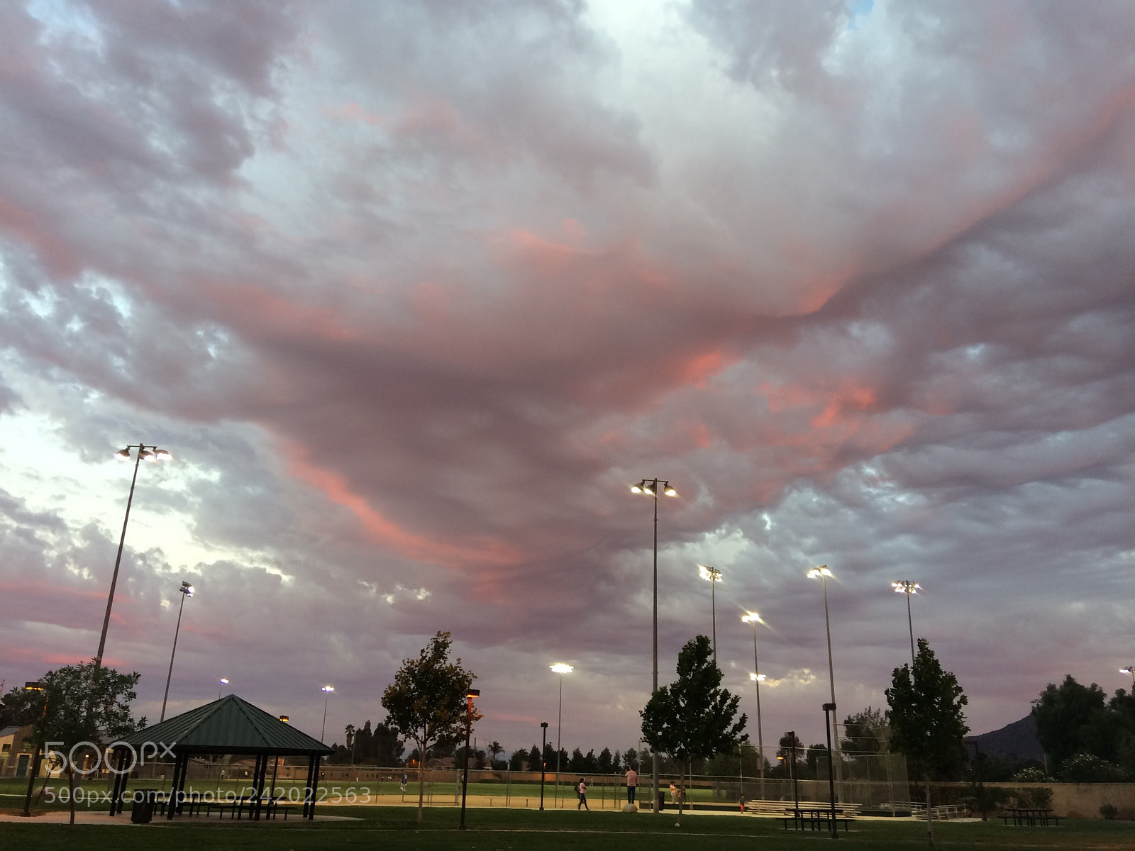 Apple iPhone 5s sample photo. Cotton candy photography