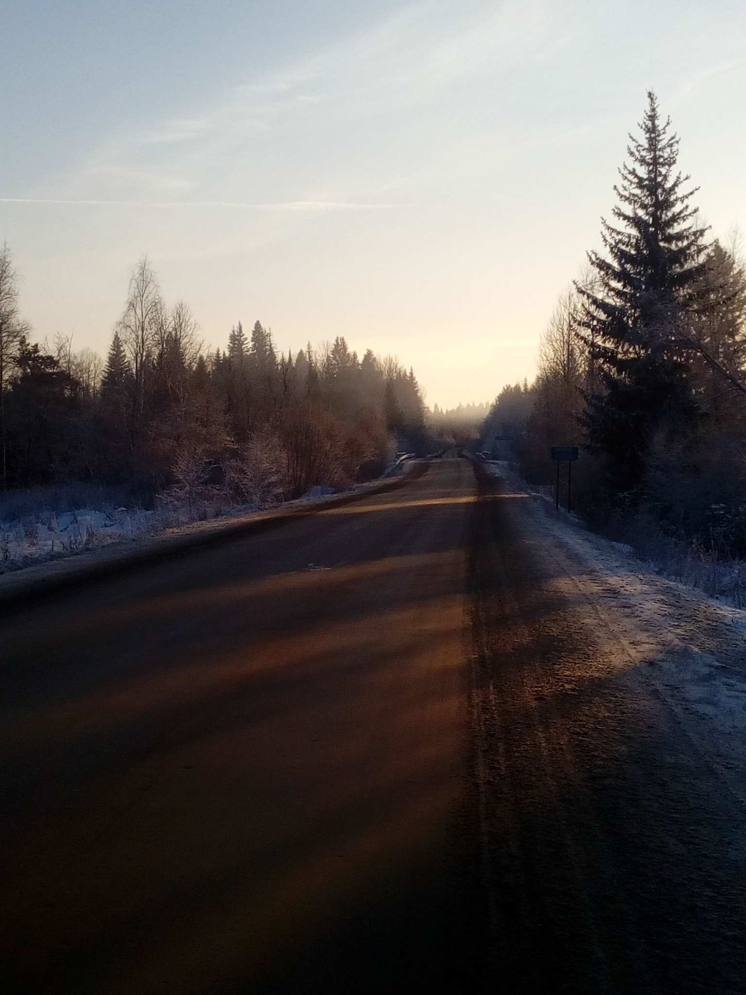 ZTE T620 sample photo. Road in forest photography