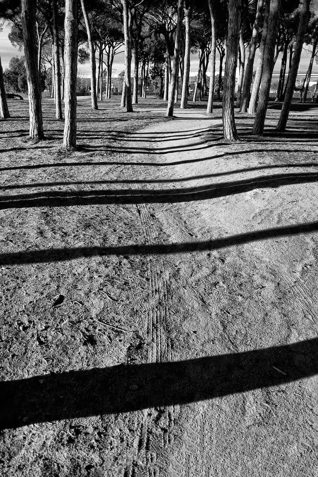 Fujifilm X-Pro1 sample photo. Parc del pinaret photography