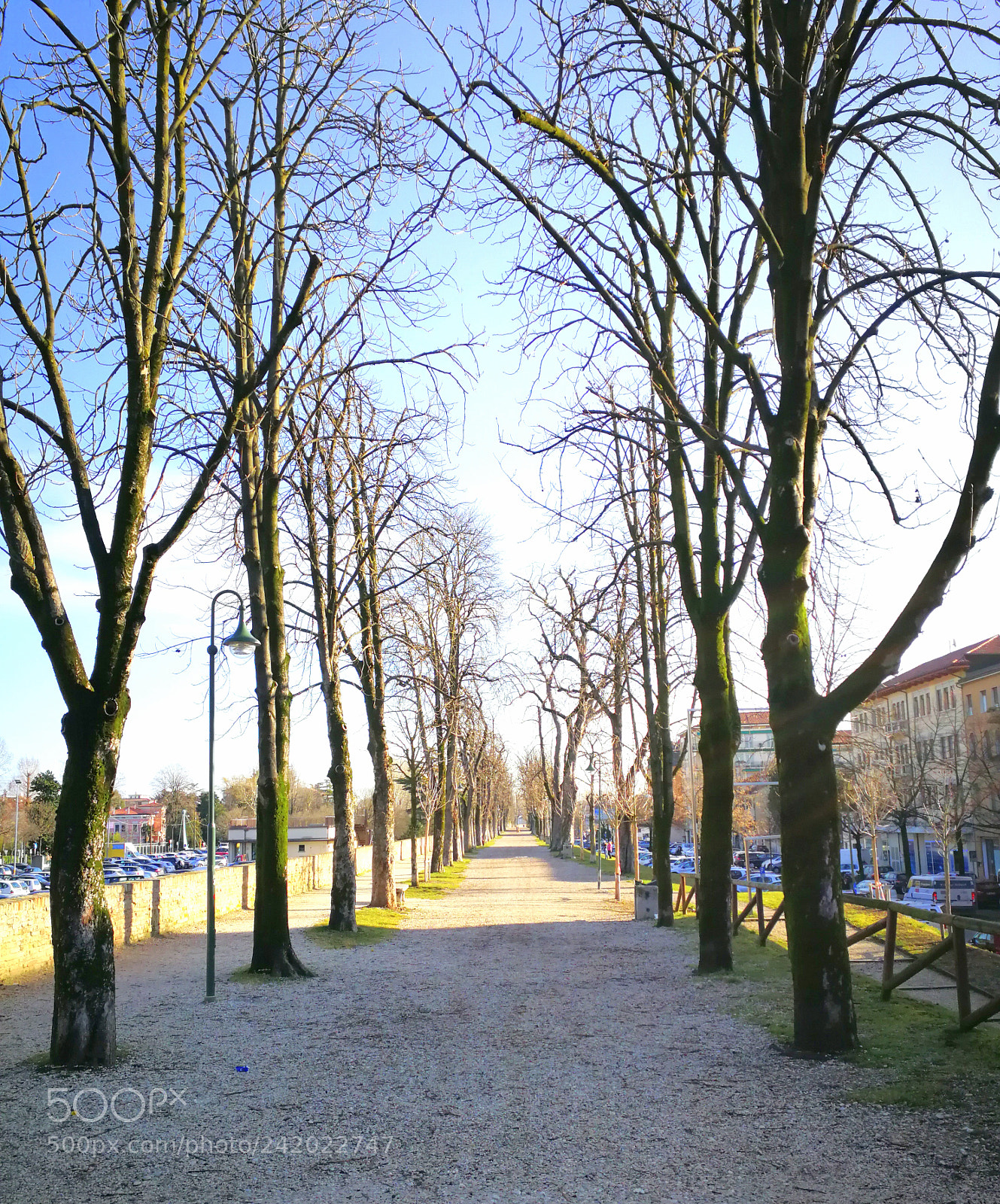 HUAWEI P10 sample photo. Mura cittadine in veste photography