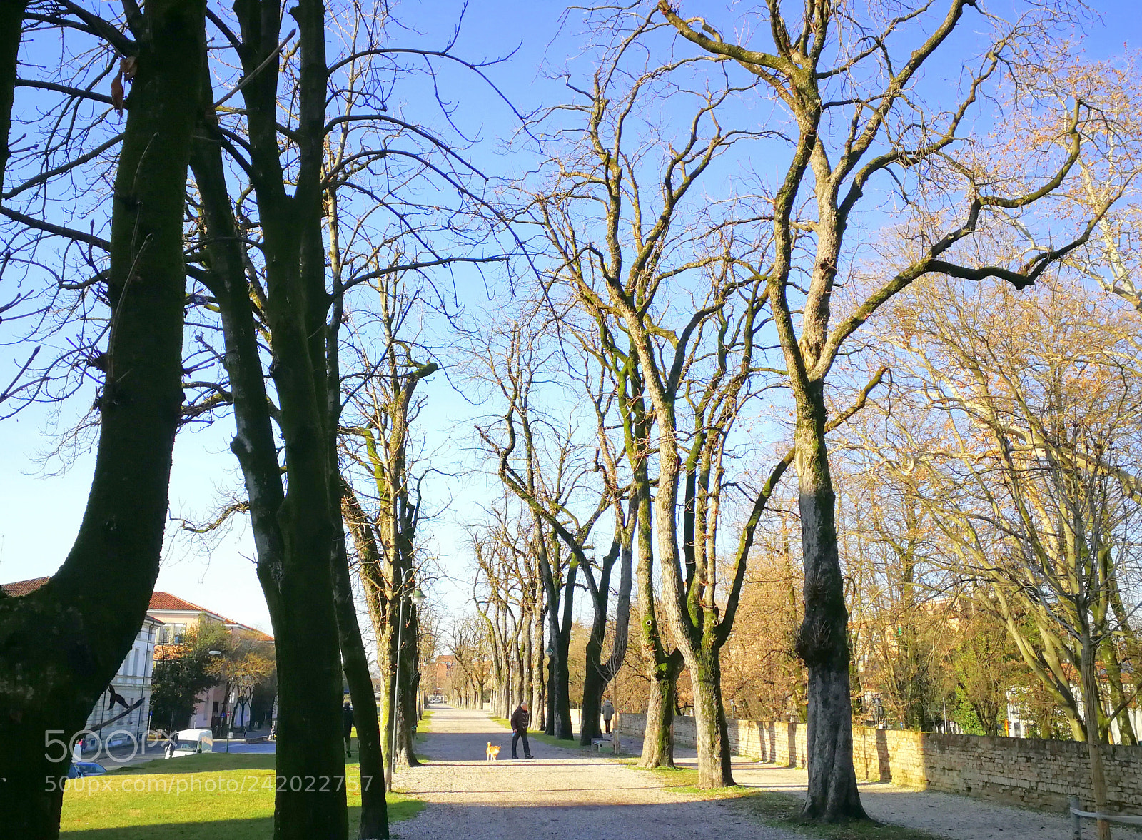 HUAWEI P10 sample photo. Mura cittadine in veste photography