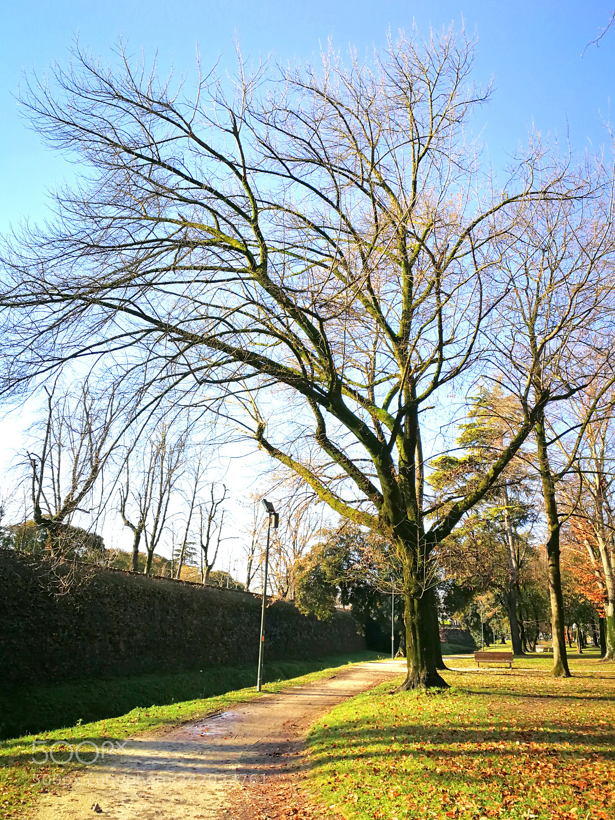 HUAWEI P10 sample photo. Mura cittadine in veste photography
