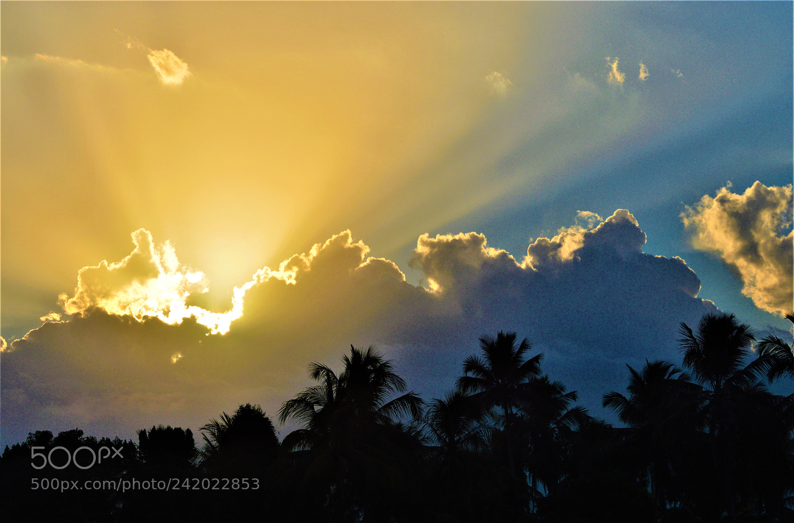 Nikon D3200 sample photo. Sky photography