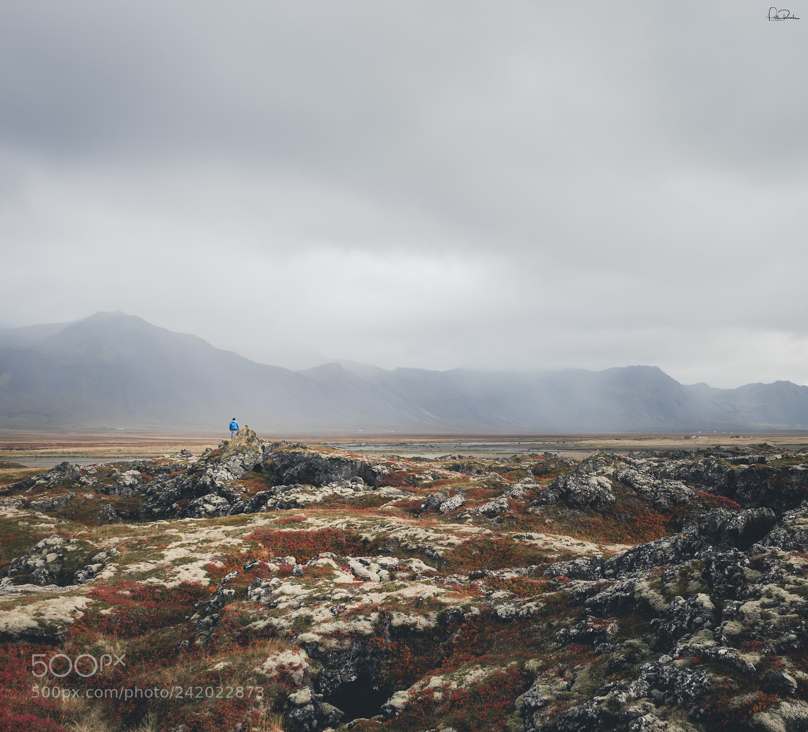 Nikon D810 sample photo. Islandia colores photography