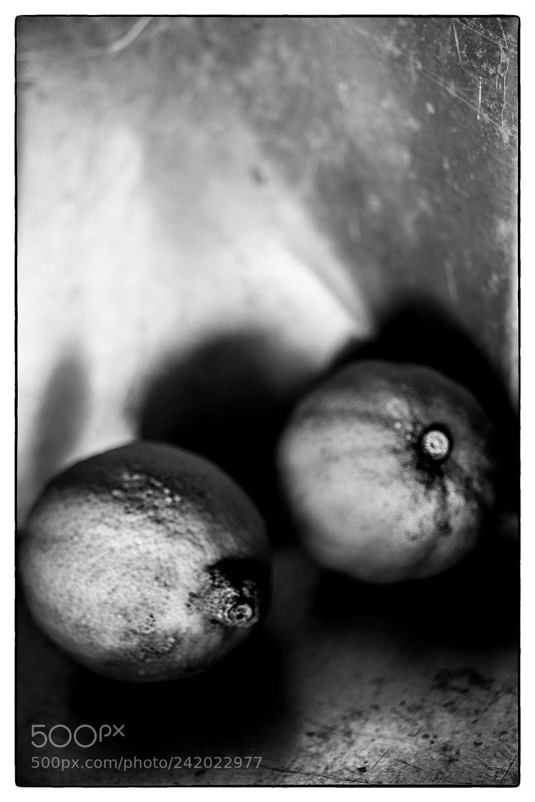 Sony a7 sample photo. Small oranges photography