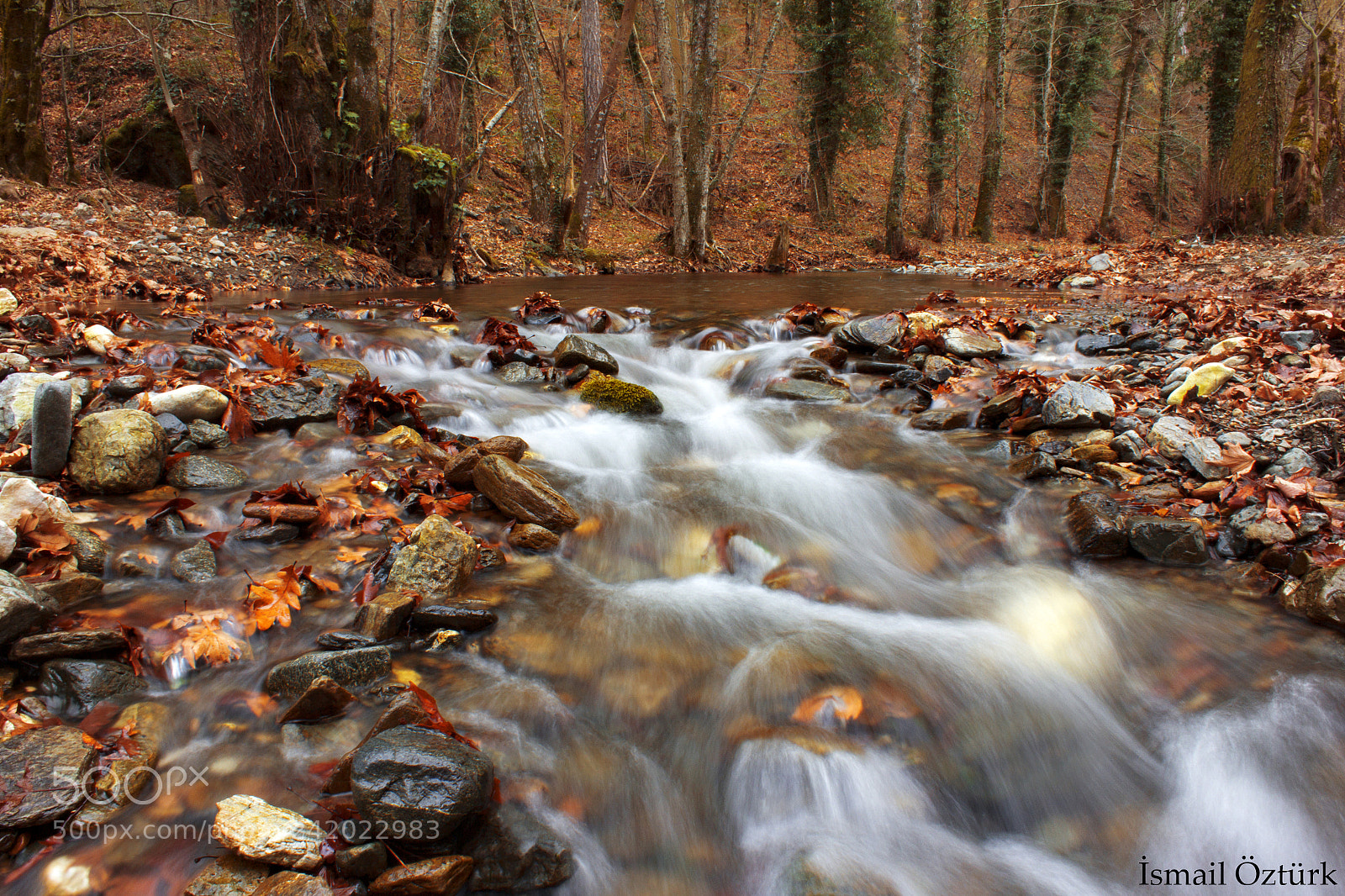 Canon EOS 60D sample photo. Long exposure photography