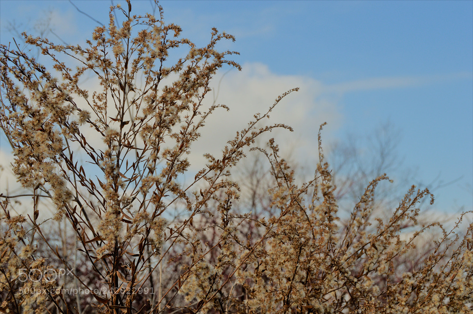 Nikon D3200 sample photo. Dsc photography