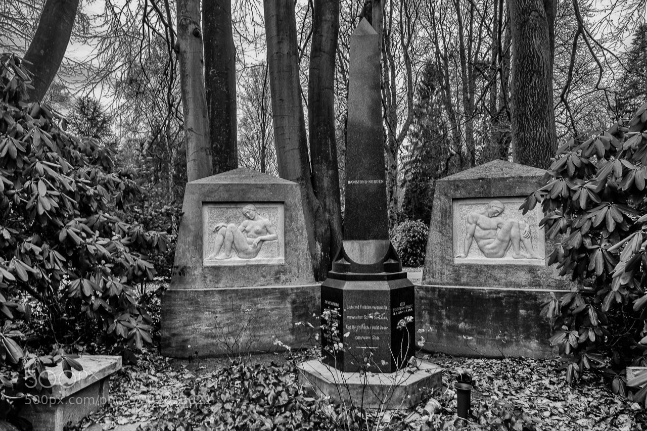 Fujifilm X-Pro2 sample photo. Tomb photography