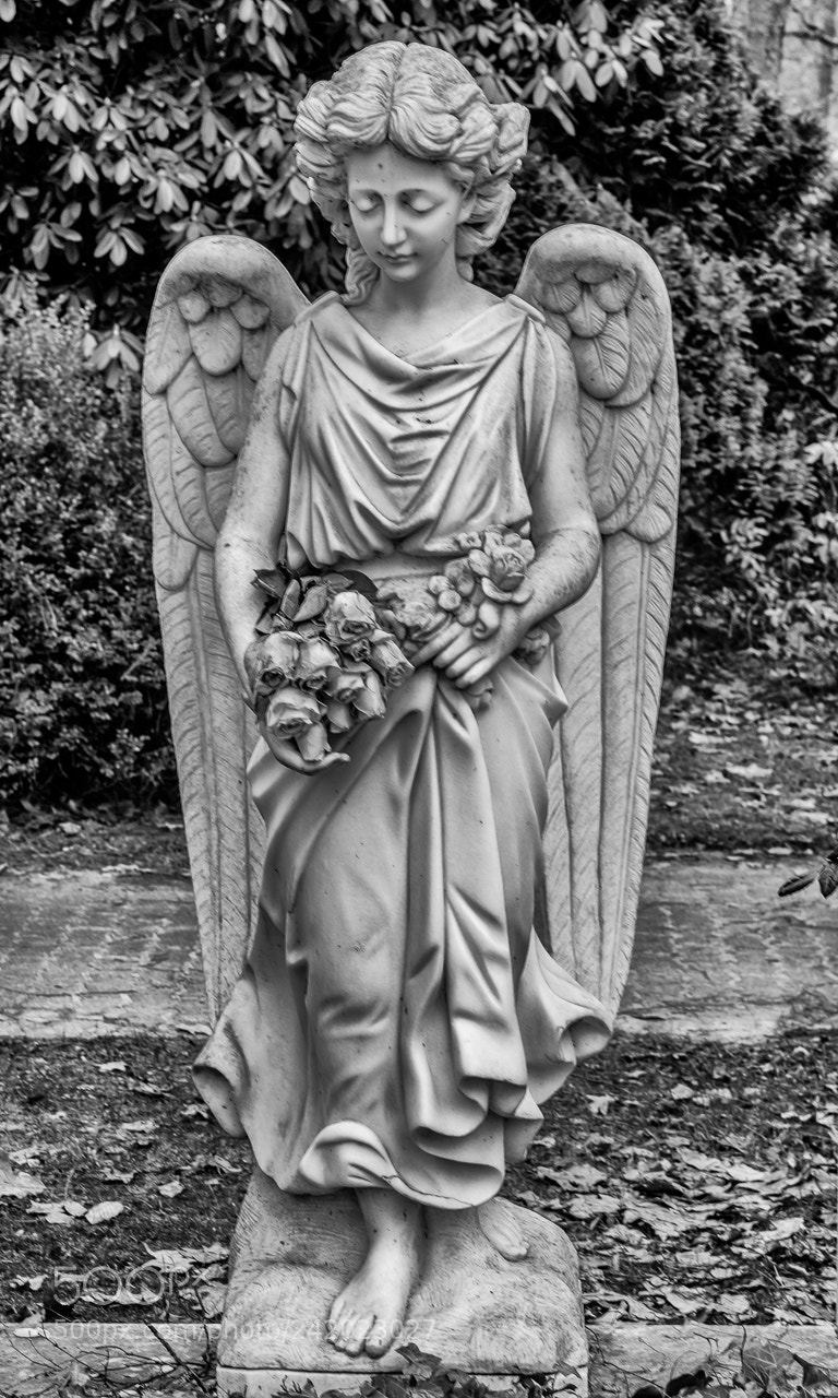 Fujifilm X-Pro2 sample photo. Angel photography